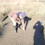 Willie explaining the finer points of identifying particular poo!!